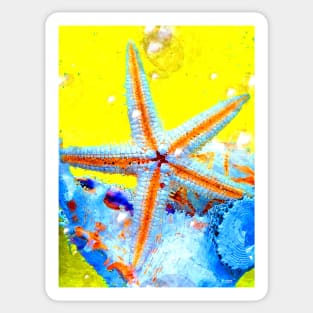 Seastar Sticker